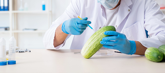 給你想要的客服服務(wù)